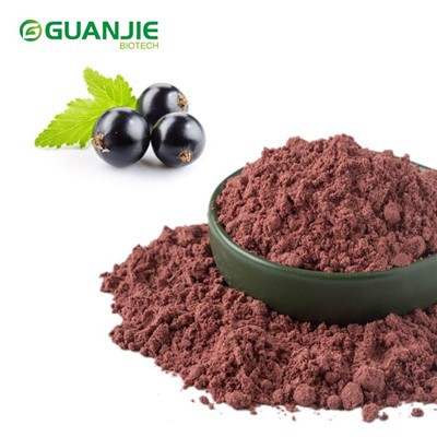 خشک بلیک کرینٹ پاؤڈر کو منجمد کریں۔